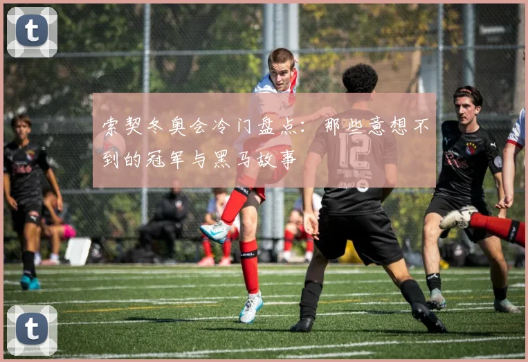 索契冬奥会冷门盘点:那些意想不到的冠军与黑马故事