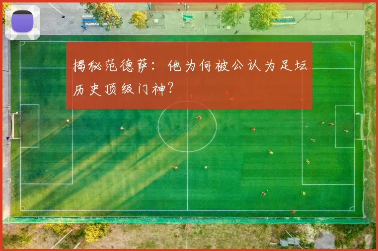 揭秘范德萨:他为何被公认为足坛历史顶级门神?