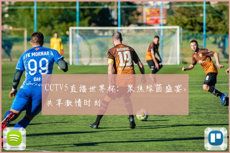 CCTV5直播世界杯：聚焦绿茵盛宴，共享激情时刻