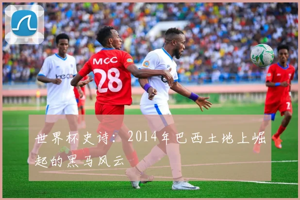 世界杯史诗：2014年巴西土地上崛起的黑马风云